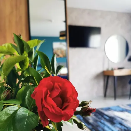 Wierzbowy Zakatek - Apartament Na Wylacznosc, Sauna, Balia, Ognisko Apartment Lubocino