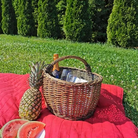 Wierzbowy Zakatek - Apartament Na Wylacznosc, Sauna, Balia, Ognisko Lubocino
